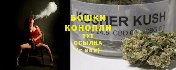 стаф Семикаракорск