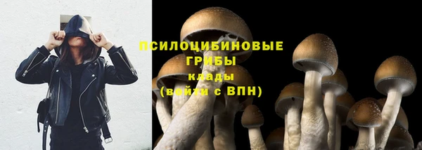 apvp Балабаново
