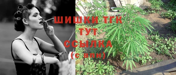стаф Семикаракорск