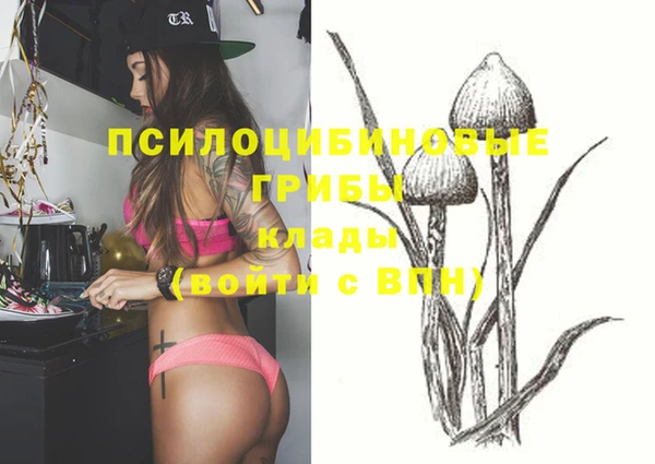 гидра Семёнов