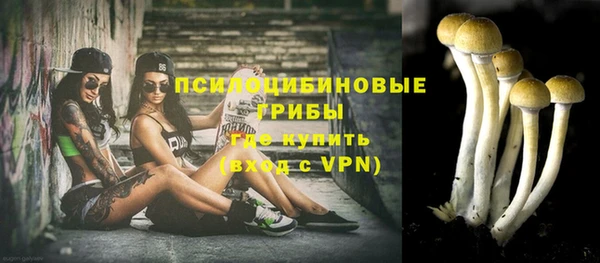 стафф Семилуки