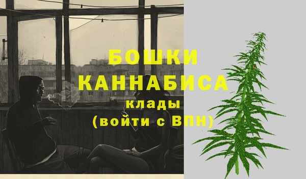 стафф Семилуки